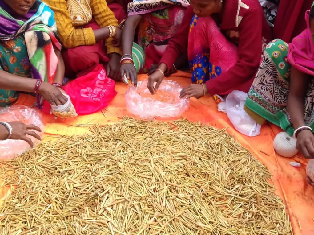 Nazareth Social Work Centre - Sokho